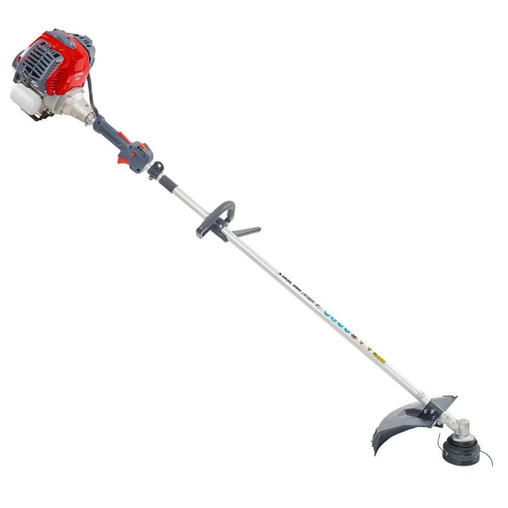 Decespugliatore Efco DSH 3100S 4 Tempi 1 Hp 31cc