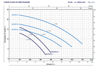 Elettropompa Centrifuga Autodescante Per Piscina PEDROLLO MAGNIFICA 2M 43MA021A