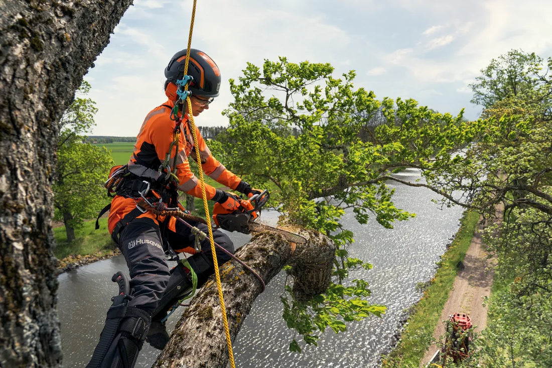 Catena Per Motosega Husqvarna X-Cut™ C85 3/8" 1.5mm 84 maglie 60cm