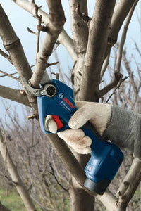 Forbici Per Potatura Bosch GGP 12V-25 - 06008D8100