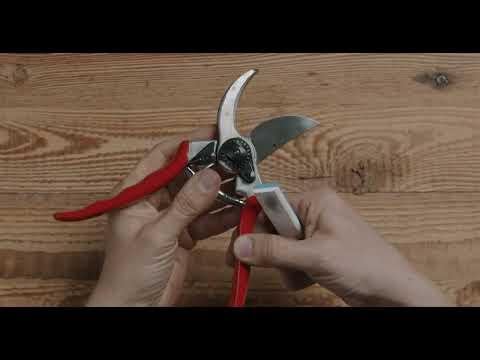 Forbici Da Potatura Professionale Felco F2